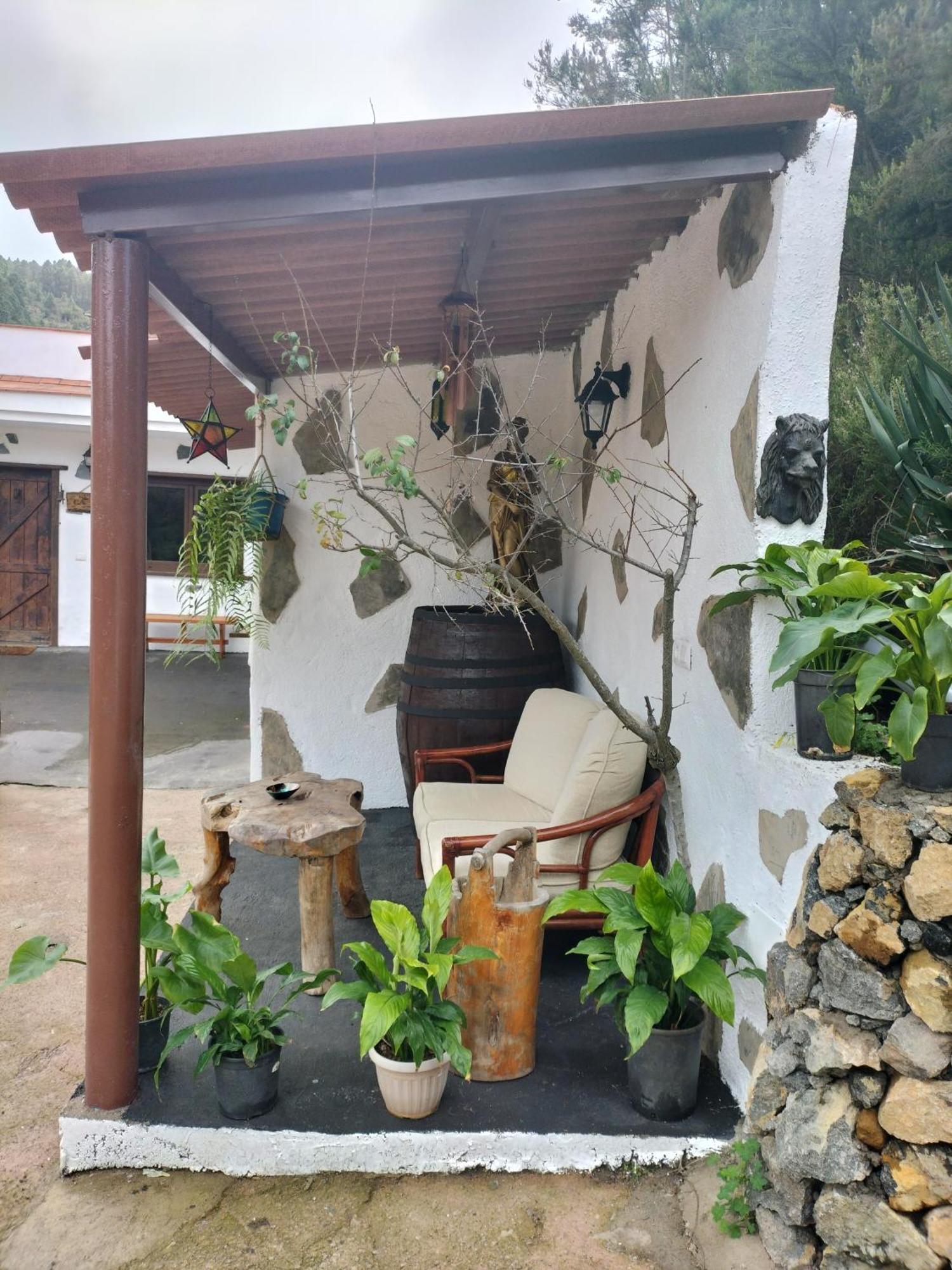 Finca Aurora Ecorural Икод-де-лос-Винос Экстерьер фото
